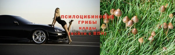 ECSTASY Аркадак